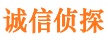 申扎侦探公司